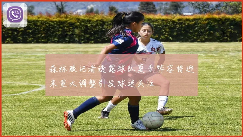 森林狼记者透露球队夏季阵容将迎来重大调整引发球迷关注