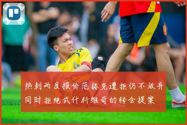 热刺两度报价范赫克遭拒仍不放弃同时拒绝武什科维奇的转会提案